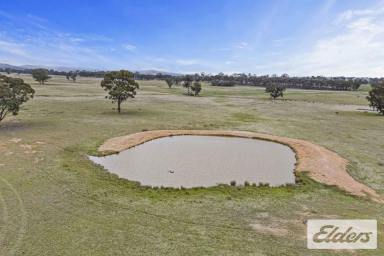 Other (Rural) For Sale - VIC - Natte Yallock - 3465 - 252 Acres of Productive Rural Land with Endless Potential  (Image 2)