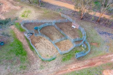 Cropping For Sale - NSW - Gulgong - 2852 - WHERE POTENTIAL GROWS  (Image 2)