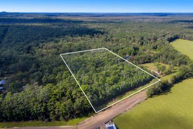 Residential Block For Sale - NSW - Crescent Head - 2440 - Your Private Bush Escape Between Crescent Head & Port Macquarie  (Image 2)