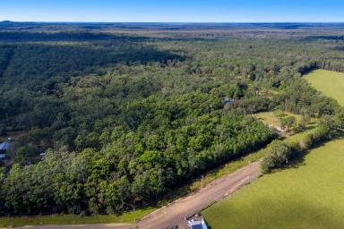 Residential Block For Sale - NSW - Crescent Head - 2440 - Your Private Bush Escape Between Crescent Head & Port Macquarie  (Image 2)