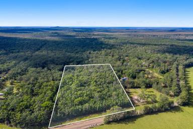 Residential Block For Sale - NSW - Crescent Head - 2440 - Your Private Bush Escape Between Crescent Head & Port Macquarie  (Image 2)