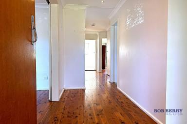 House For Lease - NSW - Dubbo - 2830 - Bright Spacious Home with Timeless Appeal (Image 2)
