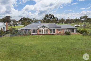 House For Sale - VIC - Lismore - 3324 - A Private Green Haven Of Light, Space & Luxury  (Image 2)