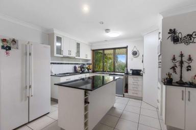 House For Sale - QLD - Veteran - 4570 - Small Acreage on Gympie's Eastern side (Image 2)