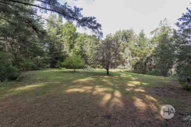 Acreage/Semi-rural For Sale - VIC - Red Hill South - 3937 - Where the World Slips Away  (Image 2)