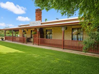 Hotel/Leisure For Sale - QLD - Yungaburra - 4884 - CURTAIN FIG MOTEL - YUNGABURRA QLD  (Image 2)