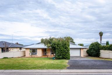 House For Sale - SA - Naracoorte - 5271 - A Home That Will Suit All Buyers - 700m2 Allotment  (Image 2)