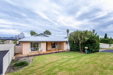 House For Sale - SA - Naracoorte - 5271 - A Home That Will Suit All Buyers - 700m2 Allotment  (Image 2)
