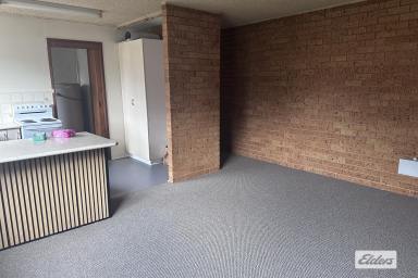 Unit For Lease - NSW - Taree - 2430 - Walk To Town  (Image 2)