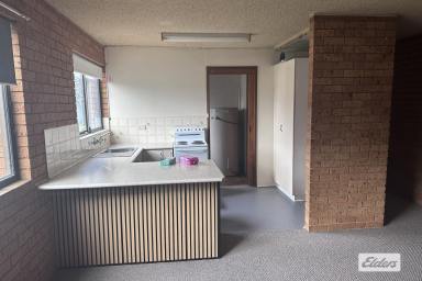 Unit For Lease - NSW - Taree - 2430 - Walk To Town  (Image 2)