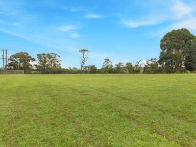Residential Block For Sale - VIC - Sarsfield - 3875 - RURAL LIFESTYLE ON THE EDGE OF TOWN  (Image 2)