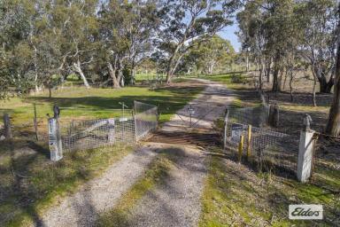 Lifestyle For Sale - VIC - Paradise - 3477 - Weekender or permanent residence?  (Image 2)