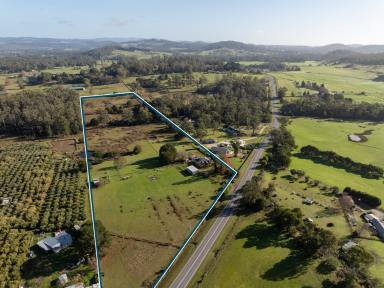 House For Sale - TAS - Exeter - 7275 - Historic Charm Meets Country Opportunity (Image 2)