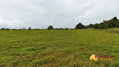 Other (Rural) For Sale - QLD - Lake Eacham - 4884 - Lake Barrine Road  (Image 2)