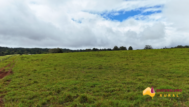 Other (Rural) For Sale - QLD - Lake Eacham - 4884 - Lake Barrine Road  (Image 2)
