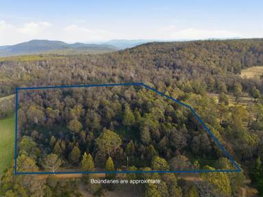 Residential Block For Sale - TAS - Levendale - 7120 - A Private Bushland Escape On 21 Acres (Image 2)