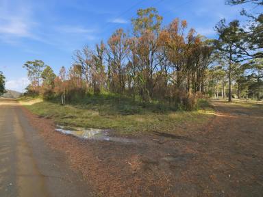Residential Block For Sale - TAS - Levendale - 7120 - A Private Bushland Escape On 21 Acres (Image 2)