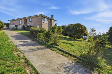 House For Lease - TAS - Bridgewater - 7030 - Convenient Family Living in a Prime Bridgewater Location (Image 2)
