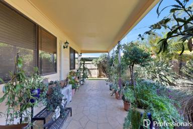 House For Sale - QLD - Andergrove - 4740 - Family Entertainer with Pool, Shed & Teenagers' Retreat!  (Image 2)