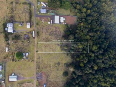 Residential Block For Sale - TAS - Waratah - 7321 - Quiet Lifestyle Block (Image 2)