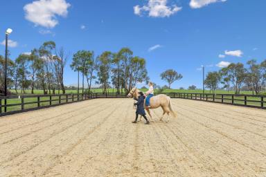 House Auction - NSW - Murrumbateman - 2582 - Upgrade your Lifestyle - Picturesque Privacy & Proximity  (Image 2)