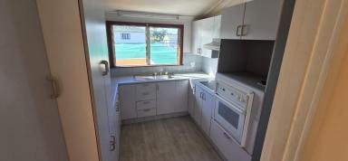 House For Sale - QLD - Ingham - 4850 - HIGHSET HOME ON 1,622 SQUARE METRE DOUBLE BLOCK! (Image 2)