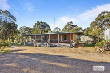 Lifestyle For Sale - VIC - Warrak - 3377 - Country retreat nestled between 2 mountain ranges  (Image 2)