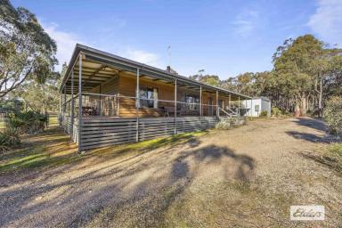 Lifestyle For Sale - VIC - Warrak - 3377 - Country retreat nestled between 2 mountain ranges  (Image 2)