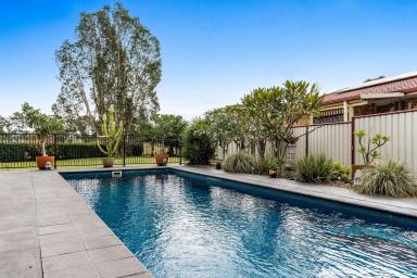 House For Sale - NSW - Casino - 2470 - Bring The Whole Family! Spacious Entertainers Paradise (Image 2)