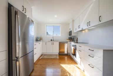 House For Sale - NSW - Ulmarra - 2462 - RENOVATED & READY FOR YOU - VILLAGE LIVING AT ITS BEST (Image 2)