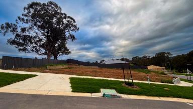 Residential Block For Sale - VIC - Seymour - 3660 - Titled Land  (Image 2)