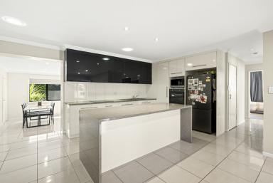 House For Sale - QLD - Darling Heights - 4350 - Spacious Family Living with Multiple Living Areas & Generous Backyard  (Image 2)