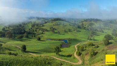 Lifestyle Auction - NSW - Waukivory - 2422 - Exceptional 216 HA Waukivory Valley Grazing Property (Image 2)