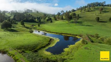 Lifestyle Auction - NSW - Waukivory - 2422 - Exceptional 216 HA Waukivory Valley Grazing Property (Image 2)