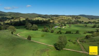 Lifestyle Auction - NSW - Waukivory - 2422 - Lone Pine | 216 Hectares of Productive Grazing Country, Exceptional Water Security & Over a Century of Family Ownership  (Image 2)