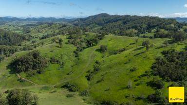 Lifestyle Auction - NSW - Waukivory - 2422 - Offered off the plan - approx. 272 acres (110 ha) of Gloucester country, with room to build.  (Image 2)