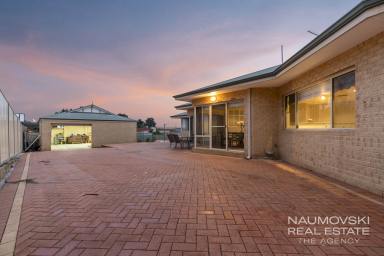 House For Sale - WA - Balcatta - 6021 - BRING THE FAMILY! (Image 2)