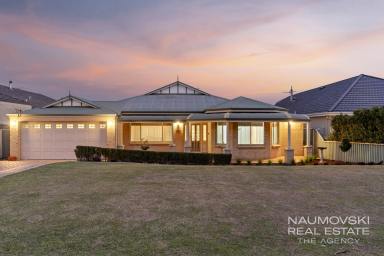 House For Sale - WA - Balcatta - 6021 - BRING THE FAMILY!  (Image 2)