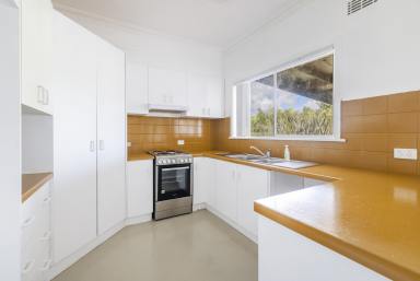House For Sale - NSW - Grafton - 2460 - REVIVED, REFRESHED & READY FOR ITS NEXT CHAPTER  (Image 2)