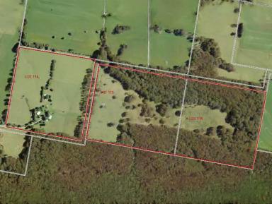 Lifestyle For Sale - NSW - Wildes Meadow - 2577 - ‘Collingwood’ – Exceptional 128-Acre Lifestyle & Agricultural Estate (Image 2)