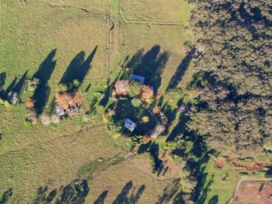 Lifestyle For Sale - NSW - Wildes Meadow - 2577 - ‘Collingwood’ – Exceptional 128-Acre Lifestyle & Agricultural Estate (Image 2)