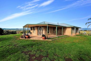 House For Sale - NSW - Tumut - 2720 - Picturesque Lifestyle Property! (Image 2)