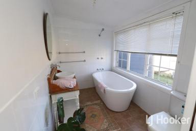 House For Lease - NSW - Inverell - 2360 - Renovated Rural Home with Peaceful Outlook (Image 2)