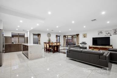 House For Sale - WA - Southern River - 6110 - MODERN FAMILY LIVING AT ITS FINEST! (Image 2)