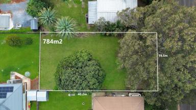 Residential Block For Sale - QLD - Macleay Island - 4184 - Walk-to-Everything Convenience  (Image 2)