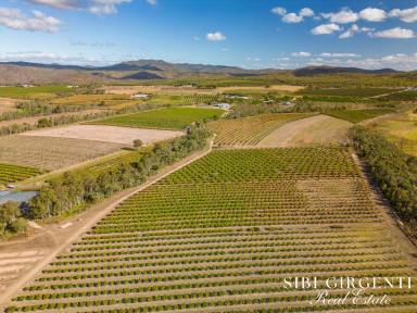 Horticulture For Sale - QLD - Mutchilba - 4872 - Productive Horticultural Estate with Modern Home, Water Security & Secure Income (Image 2)