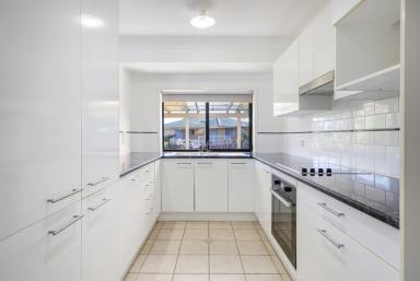 House For Sale - NSW - South Grafton - 2460 - SOLID BRICK INVESTMENT OR FIRST HOME  (Image 2)