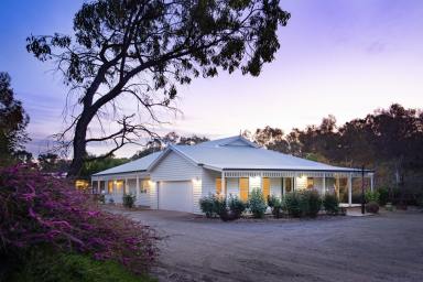 Cropping For Sale - VIC - Axedale - 3551 - Endless Prospects on the Campaspe River  (Image 2)