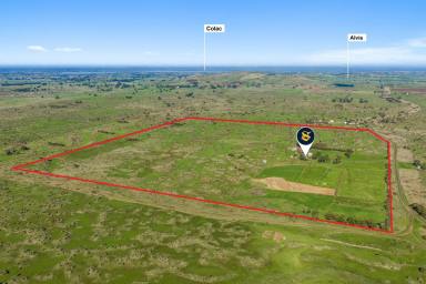 Livestock For Sale - VIC - Dreeite - 3249 - Quality Colac District Property  (Image 2)