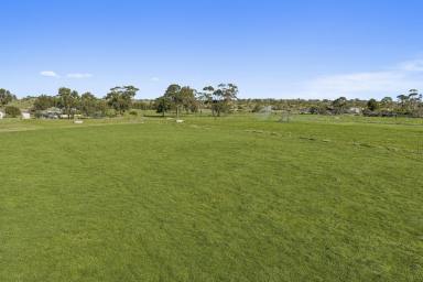 Livestock For Sale - VIC - Dreeite - 3249 - Quality Colac District Property  (Image 2)